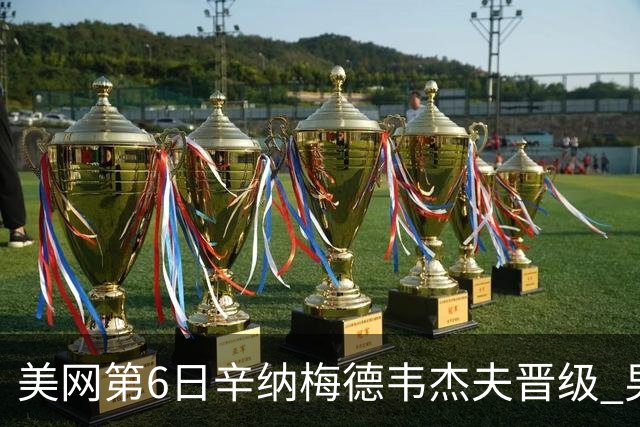 美网第6日辛纳梅德韦杰夫晋级 男单16强对阵出炉